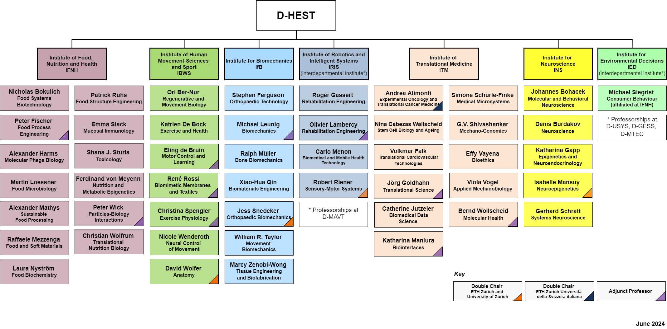 Organisation Chart – Department Of Health Sciences And Technology 